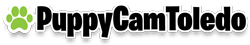 puppycamtoledo-logo